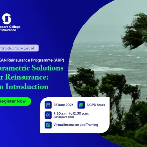 Parametric Solutions for Reinsurance: An Introduction